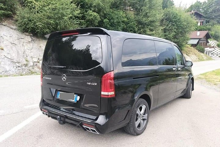 Trieste city or Cruise Port to Venice+water taxi Arrival Transfer