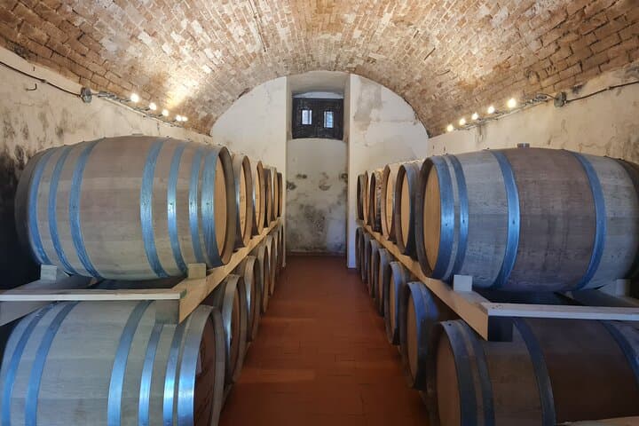 Wine & Oil Tasting Experience