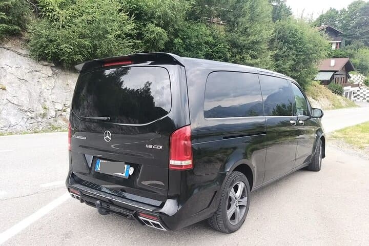 Trieste city or Cruise Port to Venice Airport (VCE) - Departure Private Transfer