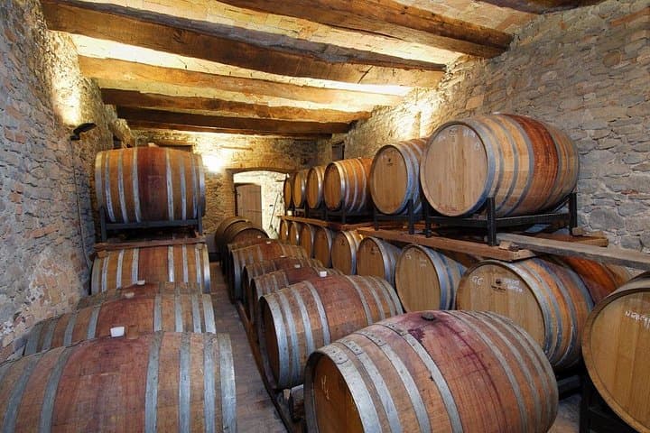 Wine & Chocolate Tour and Tasting in Alba area