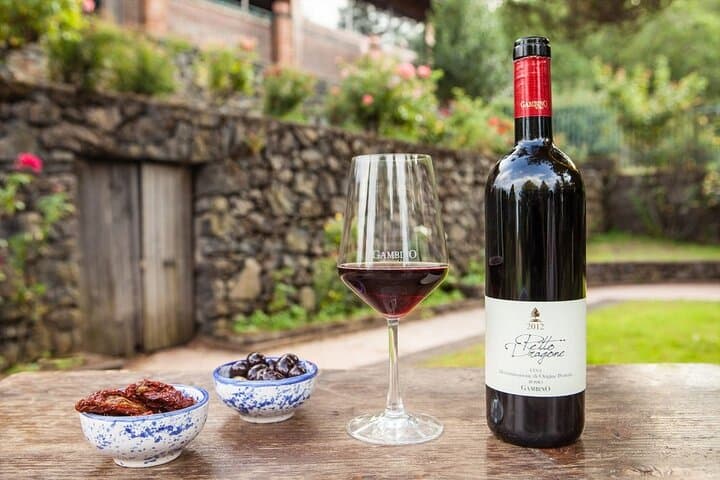 Private and Guided Tour on Etna with Wine Tasting included
