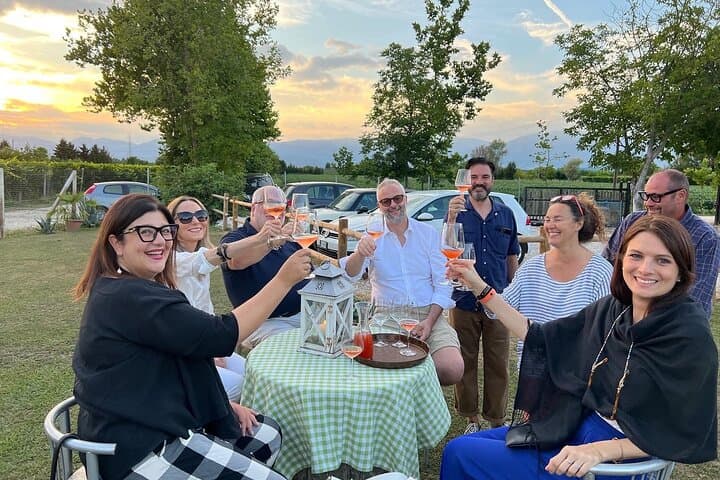 Small Group Tour with Prosecco Wine Tasting from Venice