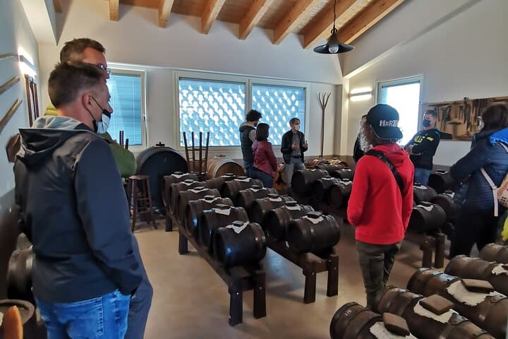 Private Visit to Acetaia with Tasting