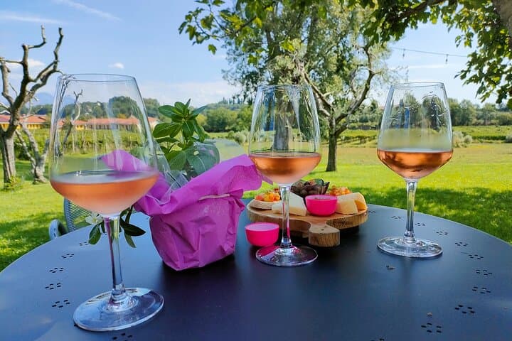 Wine Tasting with Local Food in Lazise Countryside