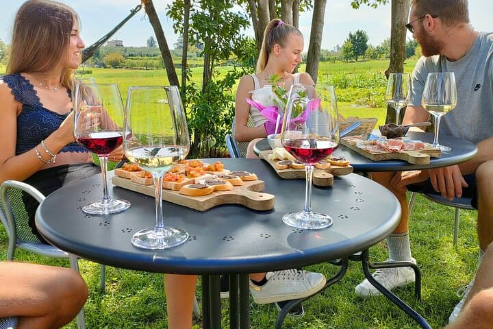 Wine Tasting with Local Food in Lazise Countryside