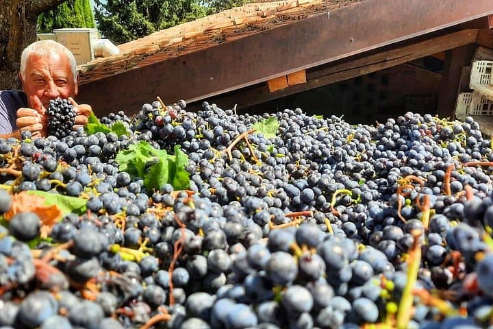 Greve in Chianti Wine Tasting and Winery Tour