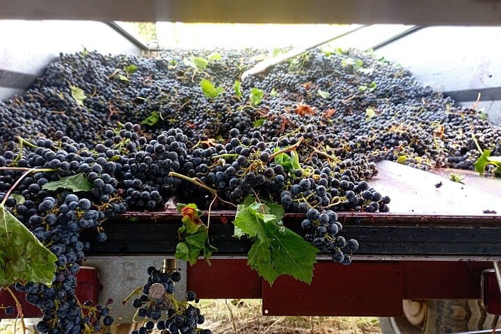 Greve in Chianti Wine Tasting and Winery Tour