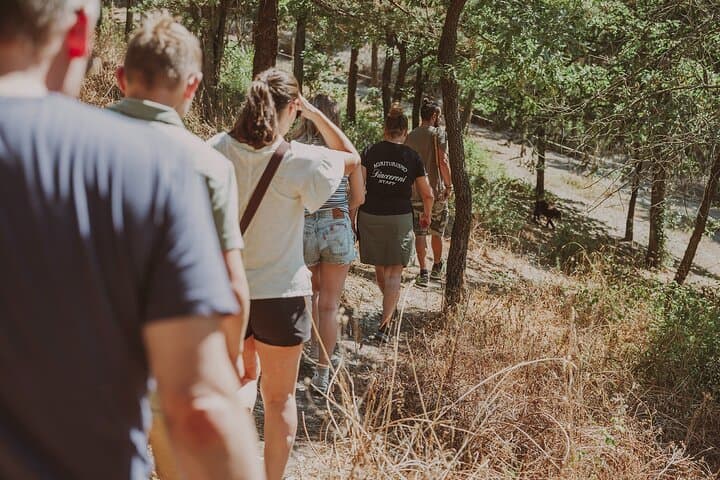 Truffle Hunt in Tuscany