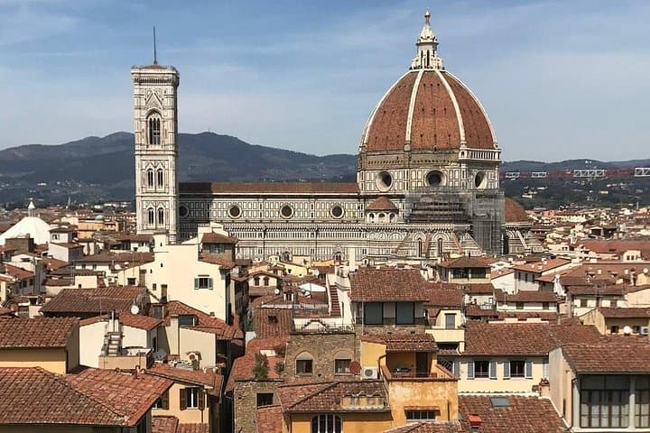 Private educational and guided custom tours by walk and by confortable M/B van