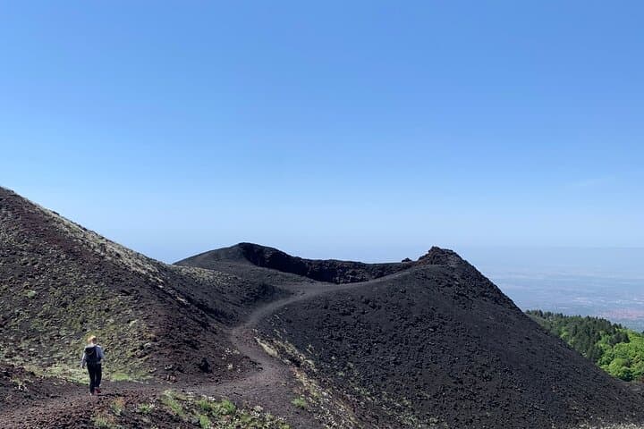 Silvestri craters