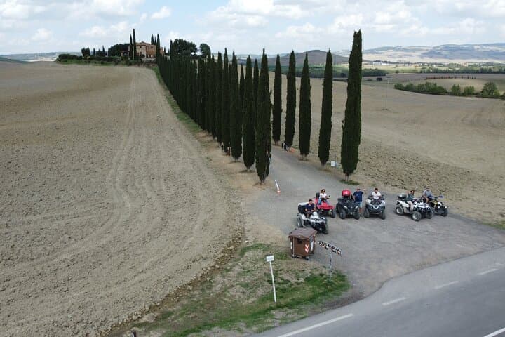 Cypresses Poggio Covili