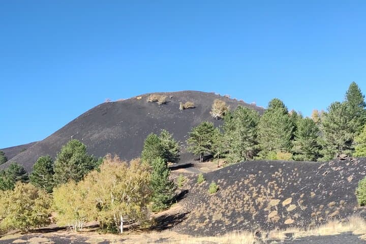 Private and Guided Tour on Etna with Wine Tasting included