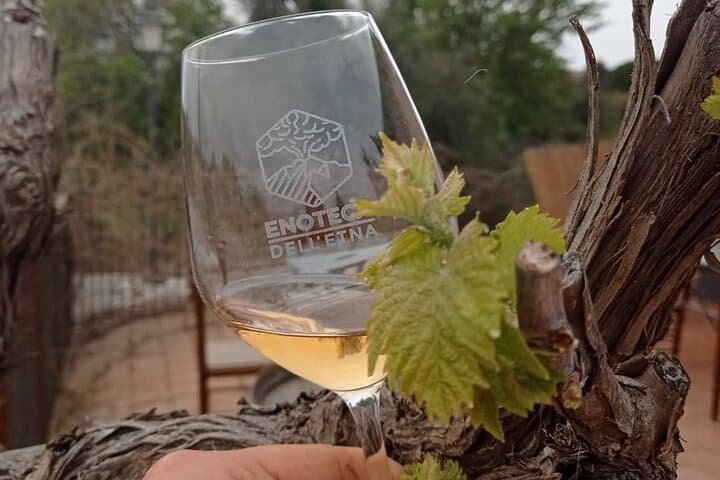 Mt. Etna trekking and Wine tasting - From Syracuse
