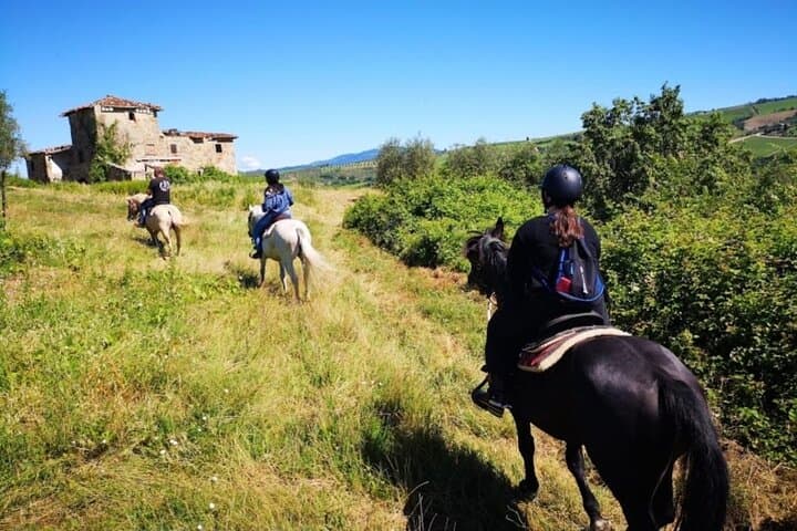 Horseback ride and Poolside Day chillout with Tuscan Lunch