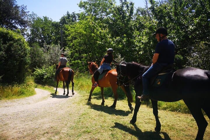 Horseback ride and Poolside Day chillout with Tuscan Lunch