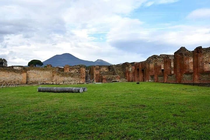 Pompeii & Wine Tour from Sorrento (tickets & lunch not included)