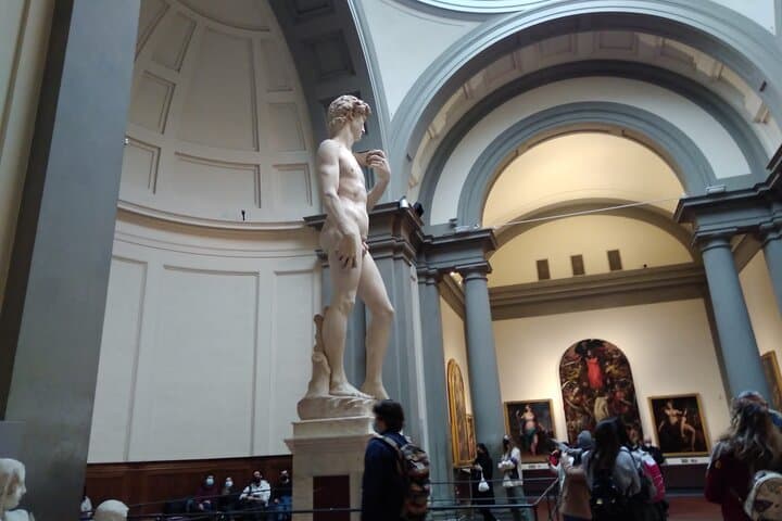 Michelangelo's David Tour in the Accademia (Tickets NOT included)