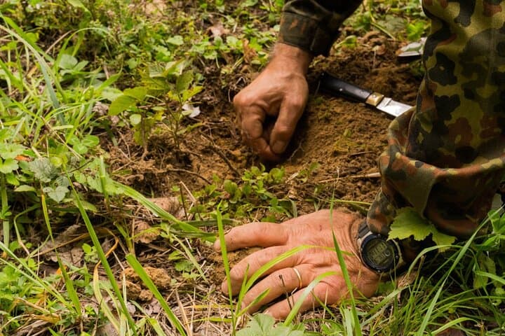 5 Hours Truffle Hunt Experience with Cooking Class