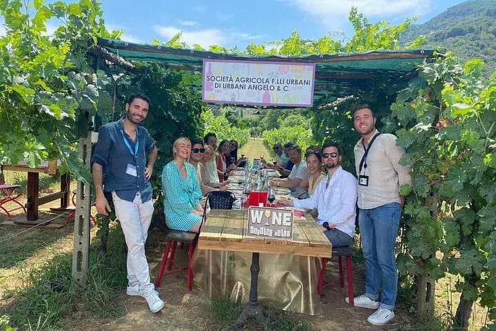 Tuscan Wine Tour in Pisa by van