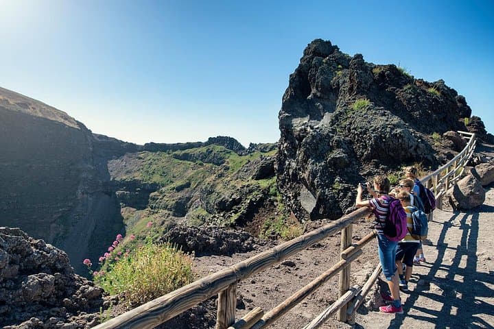From Pompeii: Day Tour of Pompeii and Vesuvius with Bus Transfer