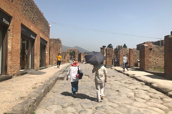 Pompeii, Herculaneum and Oplonti Private Day Tour from Rome