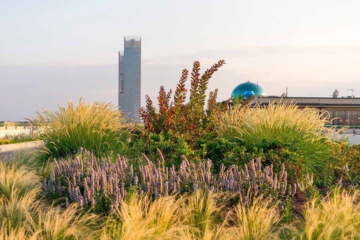 Pista Lingotto and roof garden