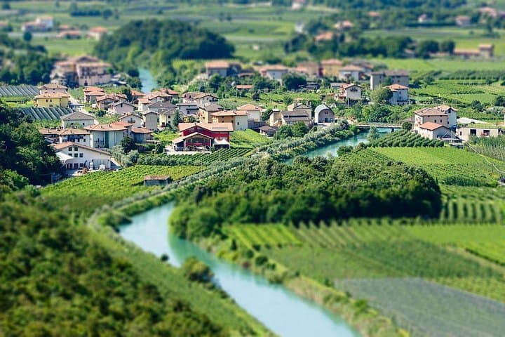 Trentino Wine Journey: Organic Vineyards & Local Delights