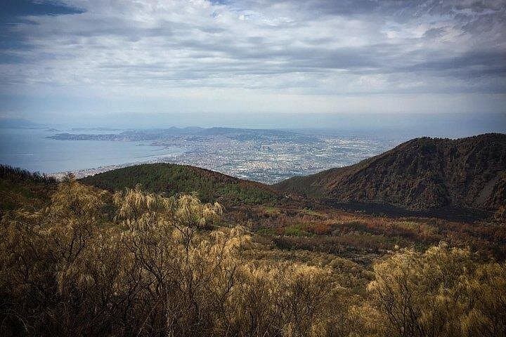 Half-Day Vesuvius Drive and Summit Hike from Naples with Lunch