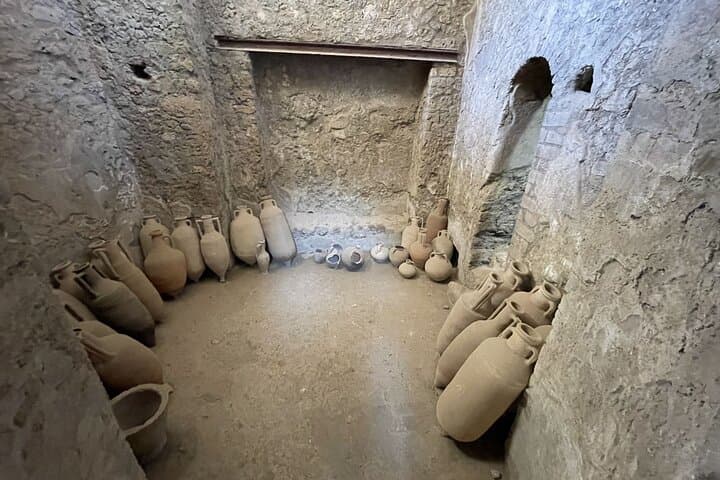 Guided Tour to Pompeii Ruins and Vesuvius from Sorrento