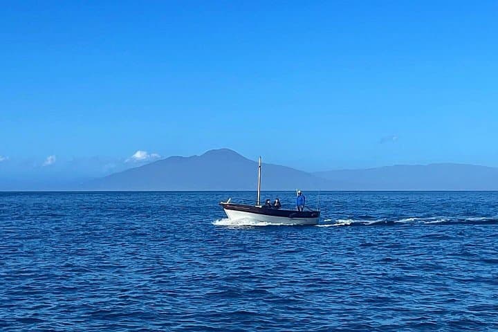 Complete Private Guided Two Hour Tour of the Coast of Capri