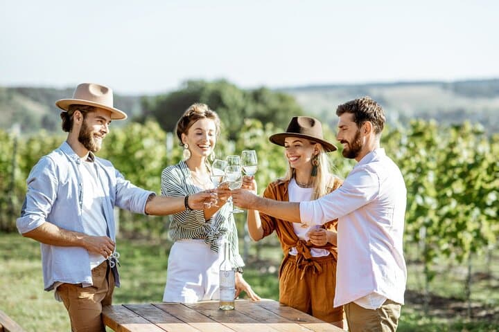 Private Chianti Wine Tasting & Scenic Florence Drive Half-Day
