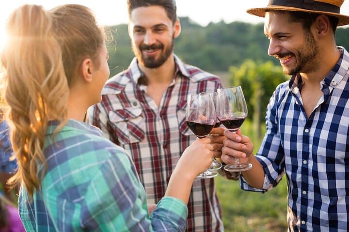 Private Chianti Wine Tasting & Scenic Florence Drive Half-Day