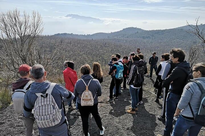 on the top panorama