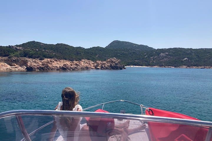 Dolphins Rib boat (up 6 people) Private