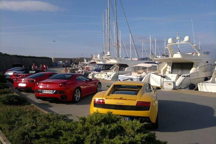 Transfer Civitavecchia Cruise Port>Rome/FCO/or Private Revers