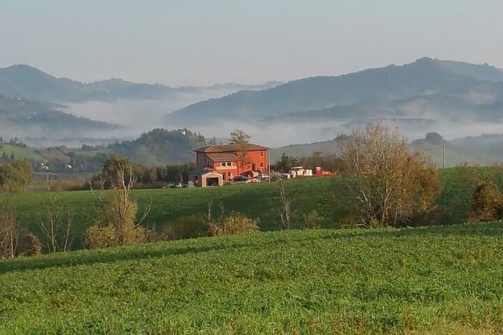 Mortadella Dining Experience on the Italian Countryside