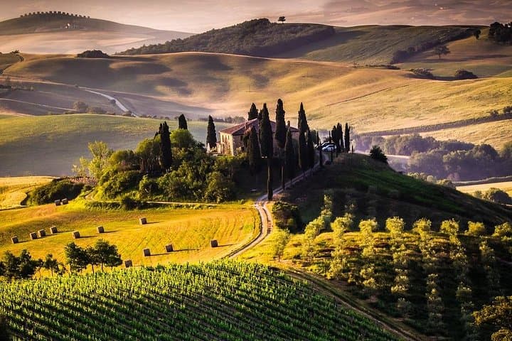 Designer Outlet Shopping Tour in Tuscany: full-day from Rome