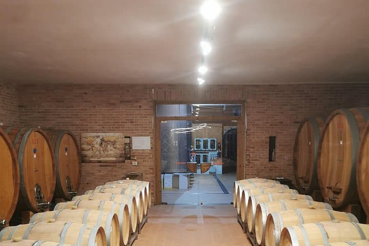 Barolo & Barbaresco Wine Experience with a Local Winemaker / Asti