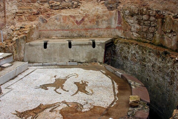 Guided tour of Villa Romana del Casale with skip the line