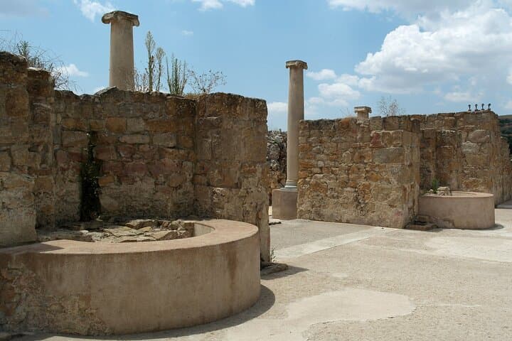 Guided tour of Villa Romana del Casale with skip the line