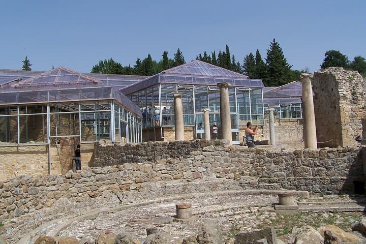 Guided tour of Villa Romana del Casale with skip the line