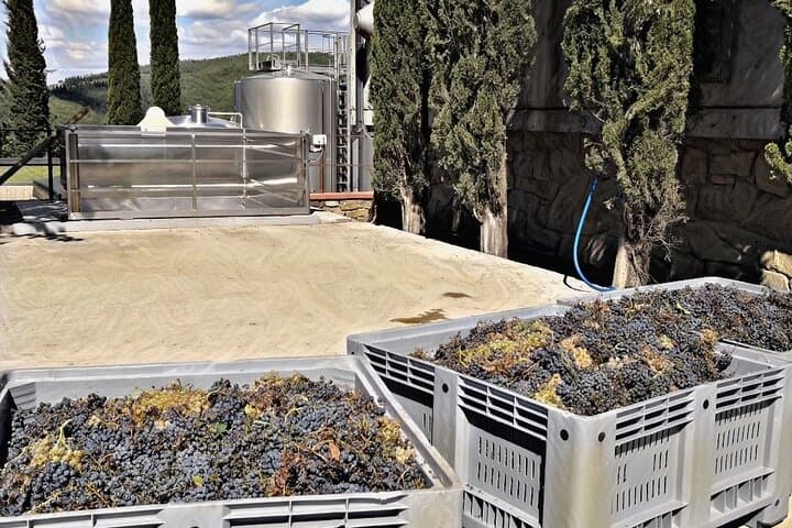 Private Wine Tour Tuscany half day Limousine Service Florence