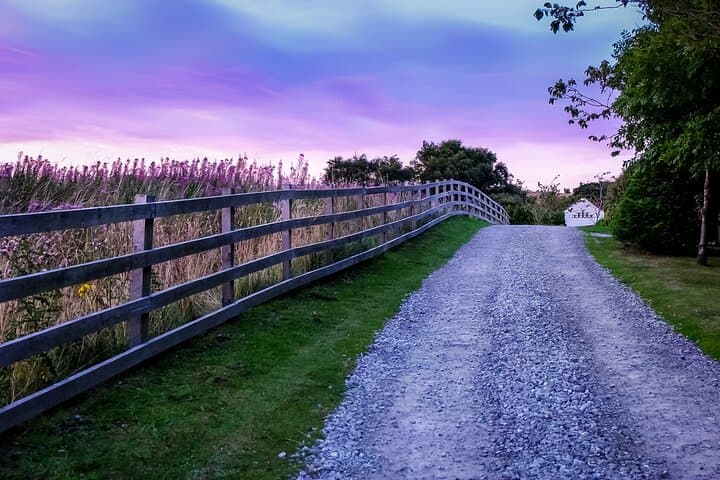 Private Day Tour from Florence to Pisa, Chianti and San Gimignano