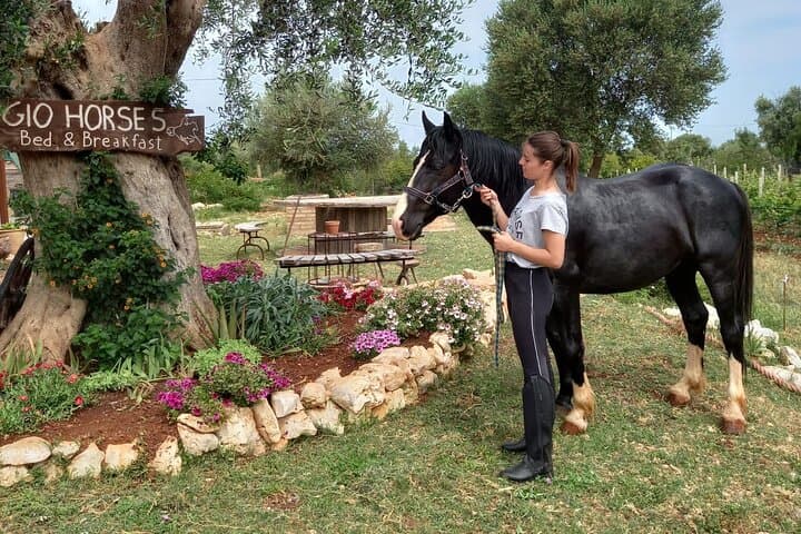 Horse riding in the Gargano National Park