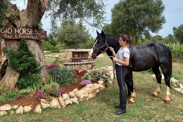 Horse riding in the Gargano National Park