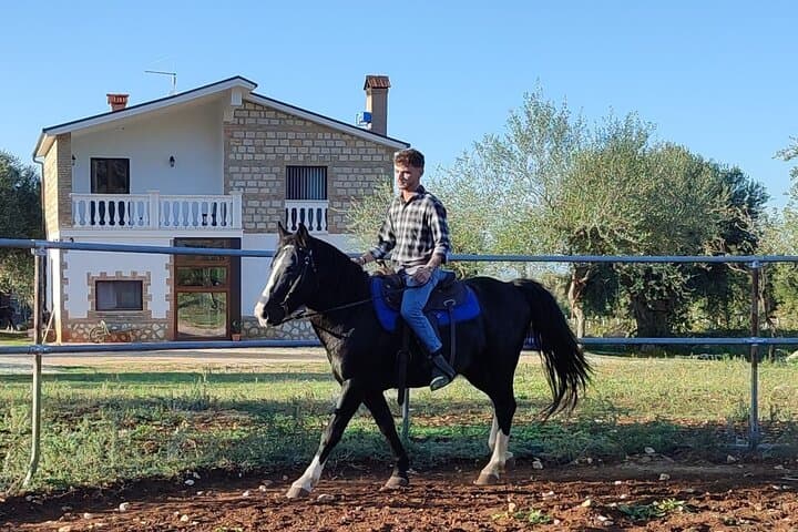 Horse riding in the Gargano National Park