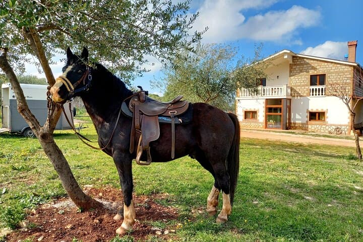 Horse riding in the Gargano National Park