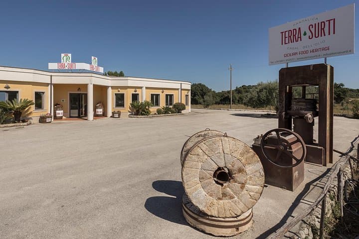 Visit to the olive grove, oil tasting and lunch at the farm