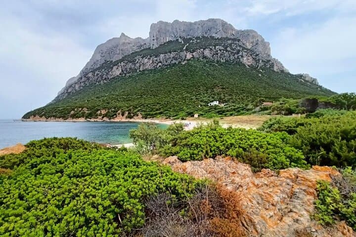 San Teodoro: Grand Tour of the Tavolara Archipelago