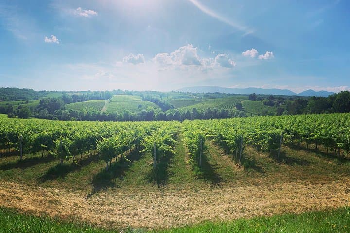 Adventure in the Prosecco Hills